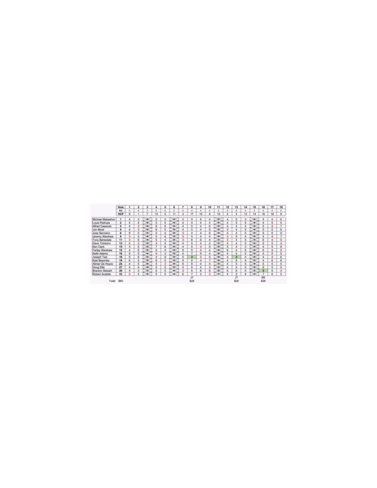 skins-pdf-jpg